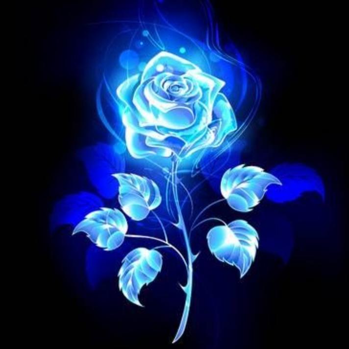 Discover Music about Blue Rose | Resso