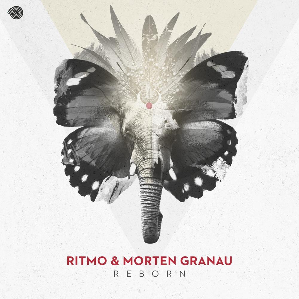 Oficial Resso de RITMO RJ - Lista de músicas e álbuns por RITMO RJ