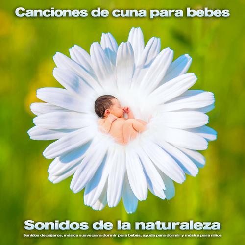 Musica Suave Para El Sueno Del Bebe Canciones De Cuna Para Bebes Musica Para Bebes Especialistas Musica Para Ninos Listening To Music On Resso