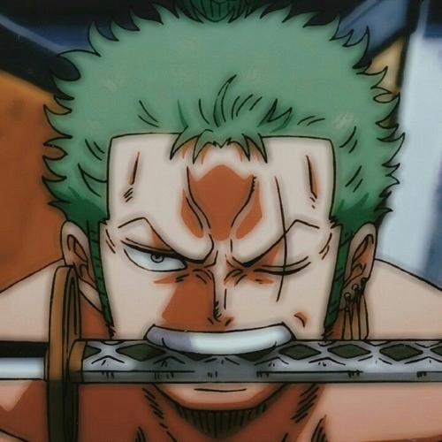 o que significa o zoro sola