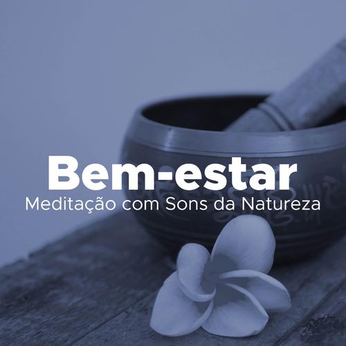 Músicas para relaxar e acalmar a mente!