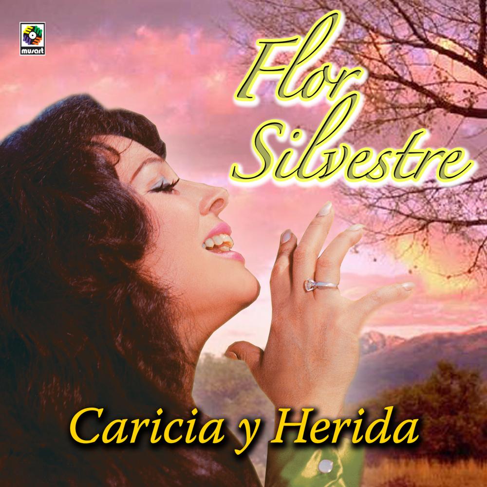 Oficial Resso de Un Golpe Mas - Flor Silvestre - Ouvir Música No Resso Oficial Resso de Un Golpe Mas - Flor Silvestre - Ouvir Música No Resso