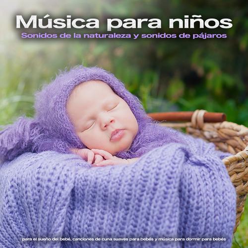 Musica Para Dormir Para Bebes Y Sonidos De Aves Musica Para Ninos Canciones De Cuna Para Bebes Musica Para Bebes Especialistas Listening To Music On Resso
