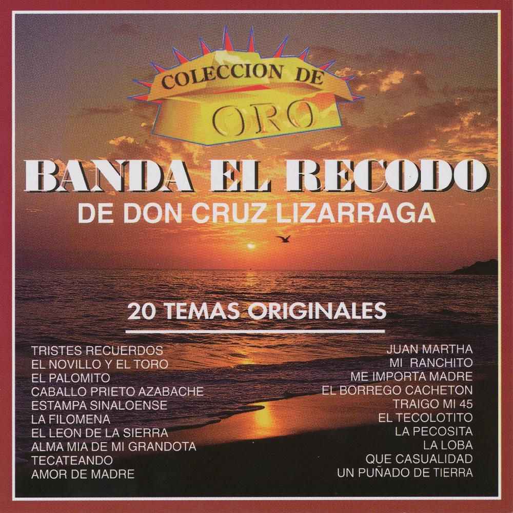 Discover music about Banda El Recodo de Cruz Lizãrraga | Resso