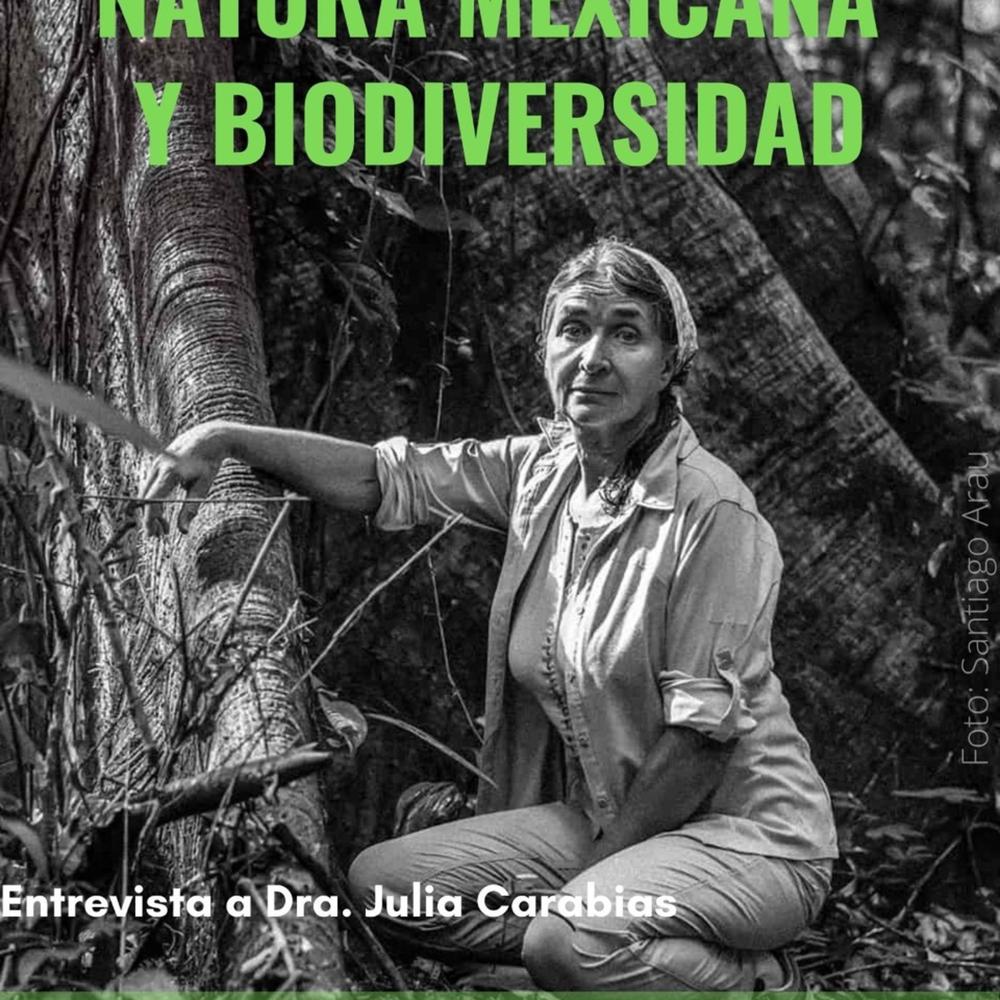 Natura mexicana y biodiversidad - Un Tlacuache en la Ciudad - Listening To  Music On Resso