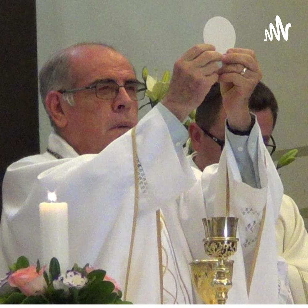 PADRE SALVADOR ARELLANO ARELLANO - CONOCE Y VIVE TU FE CATOLICA - Listening  To All 100 Musics On Resso