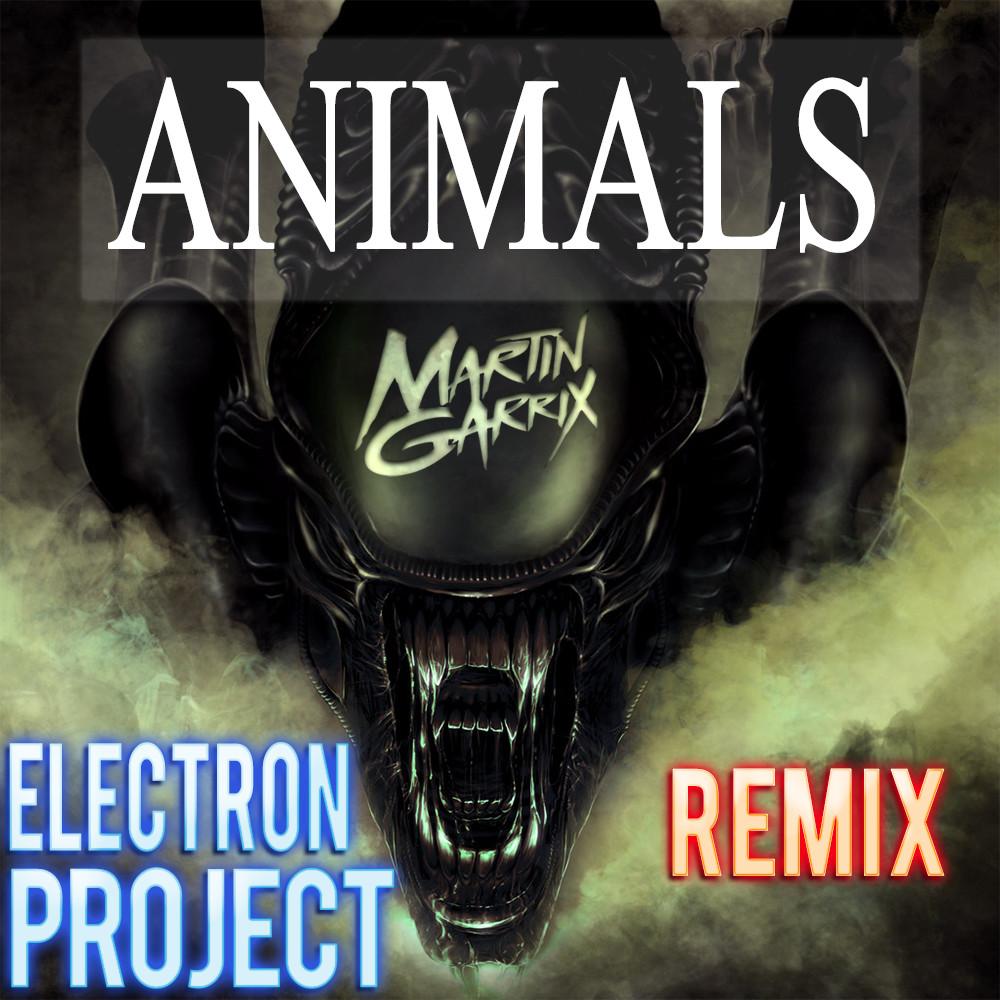 Discover Music about animals martin garrix | Resso