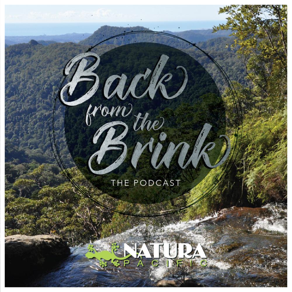 E14 - Mysterious creatures of the night - Natura Pacific - Listening To  Music On Resso