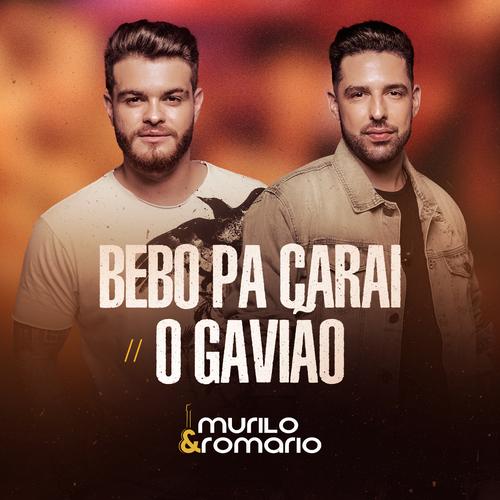 Murilo e Romario - De São Paulo a Belém / Peão Apaixonado / Denguinho:  letras e músicas