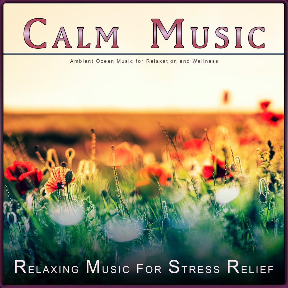 Calm Music Official Resso - Relaxing Piano Music-Relaxing Music