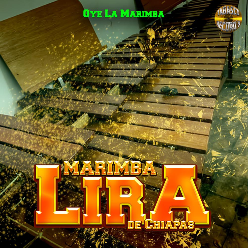 Discover Music about oye la marimba | Resso