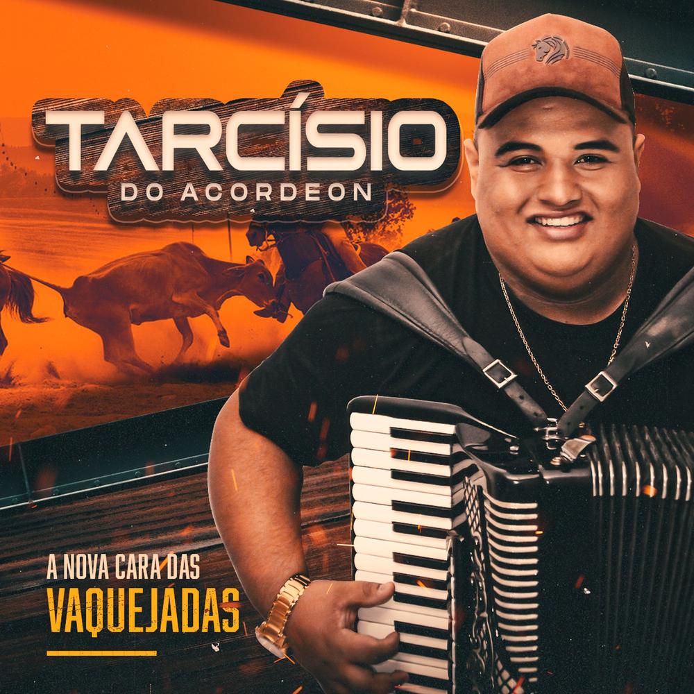 Te Esqueci Valendo - Zé Ottávio e Tarcísio do Acordeon - como