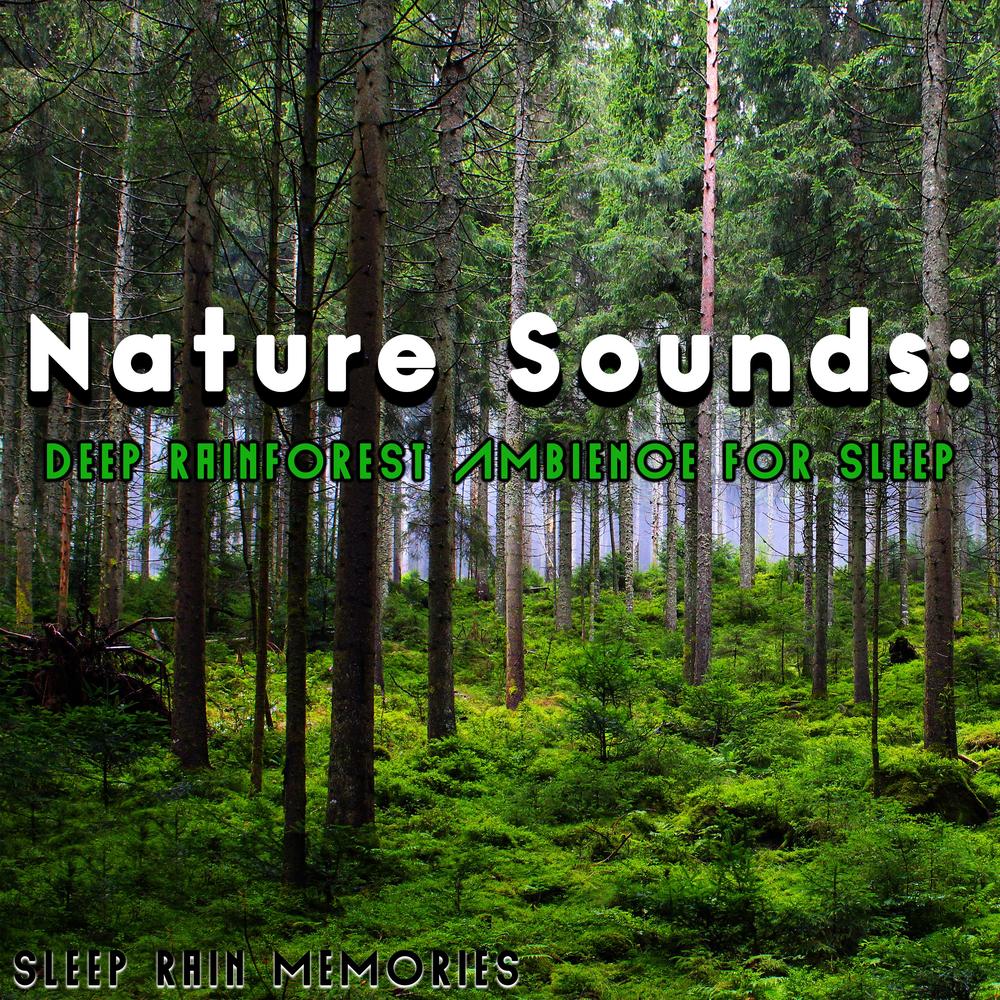 Nature Sounds: Deep Rainforest Ambience For Sleep Official Resso | album by Sleep Rain Memories - Listening To All 100 Musics On Resso Nature Sounds: Deep Rainforest Ambience For Sleep Official Resso | album by Sleep Rain Memories - Listening To All 100 Musics On Resso