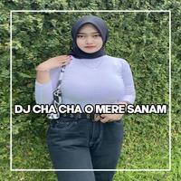 DJ TOMMY - DJ CHA CHA O MERE SANAM