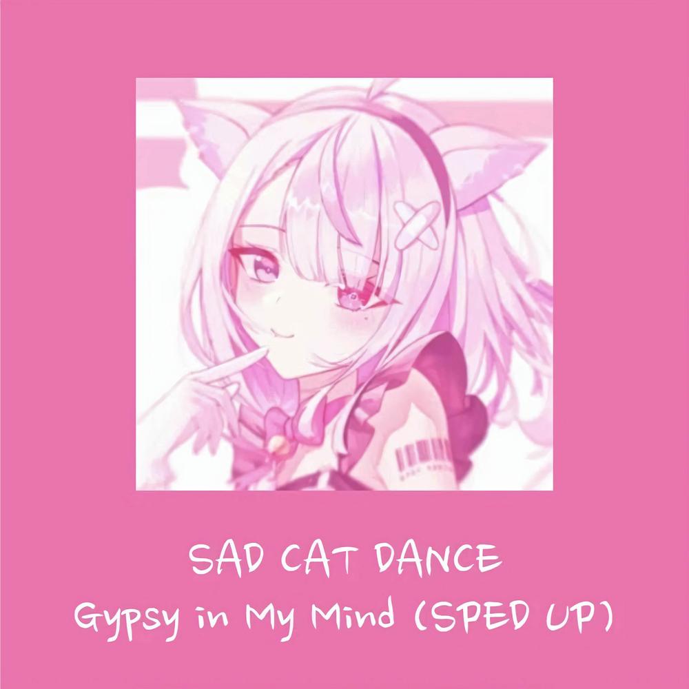 Gypsy In My Mind Official Resso - Sad Cat Dance - Listening To Music On  Resso