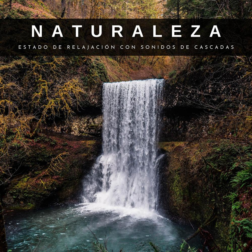 Naturaleza FX: álbuns, músicas, playlists