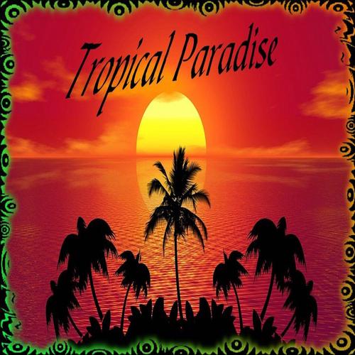 Tropical Paradise · 比基尼＆太陽眼鏡C圈耳環（金色）