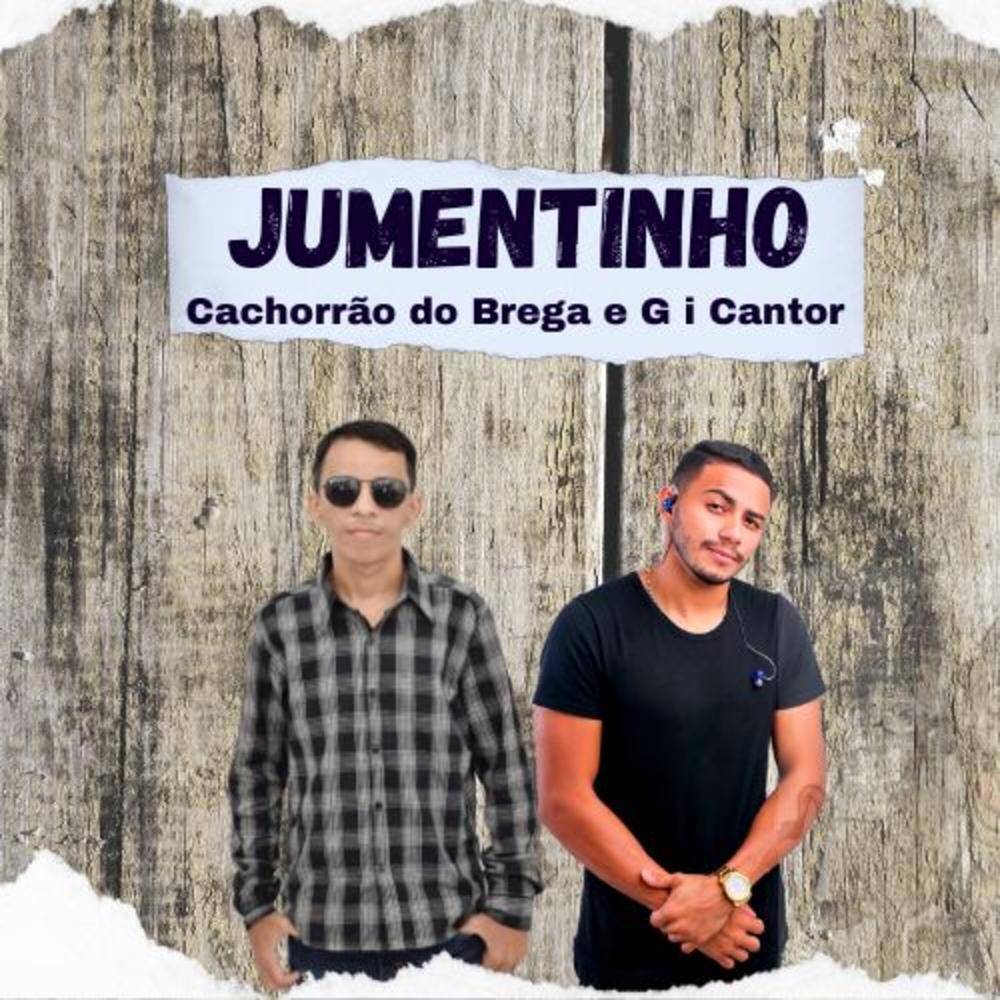 Foto do jumentinho