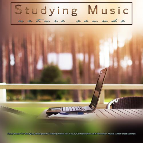 Music and Studying: Do They Go Together?