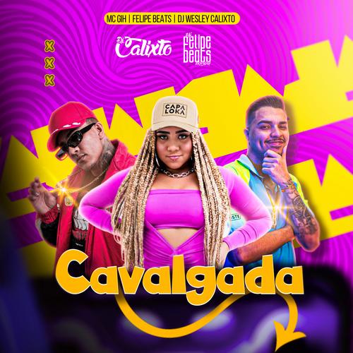 Na pegada com ele 🔥🔥✓ #dj #sonoplastia #cavalgada #rodeio #publicida