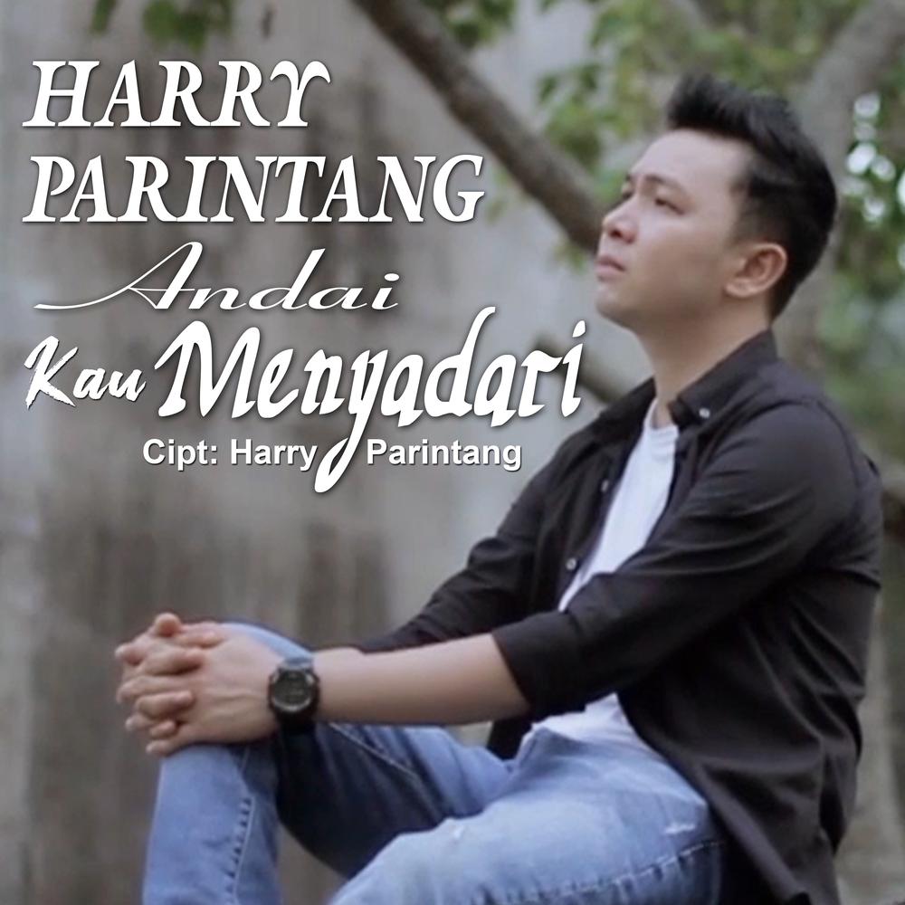 Oficial Resso De Harry Parintang - Andai Kau Menyadari | álbum De Harry ...