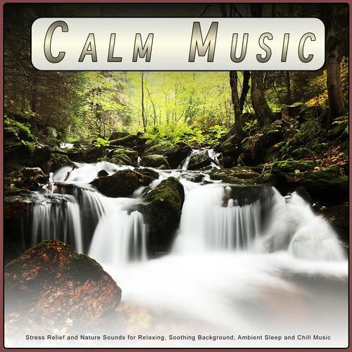 tæerne tørst mytologi Stress Relief Experience-Calm Music Guru-Relaxing Music - Calm Music:  Stress Relief and Nature Sounds for Relaxing, Soothing Background, Ambient  Sleep and Chill Music - Listening To All 30 Musics On Resso