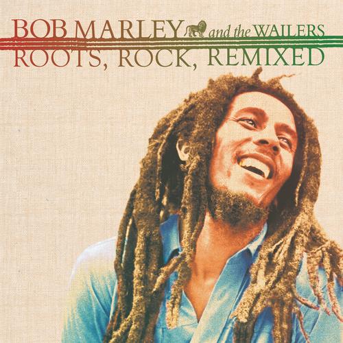 Mr. Brown (Paul & Price Remix) Official Resso - Bob Marley & The