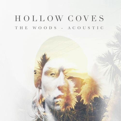 Beauty in the Light (Acoustic) Official Resso - Hollow Coves